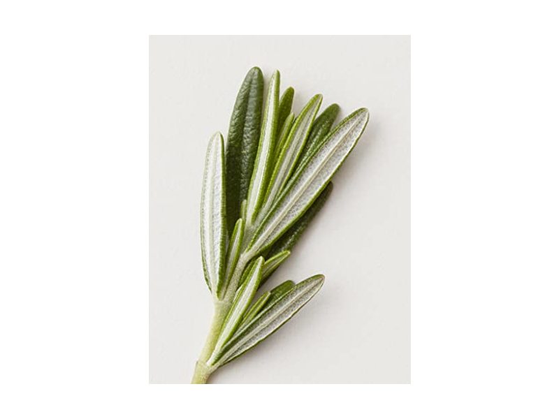 AG Care Renew Clarifying Shampoo, 10 fl oz