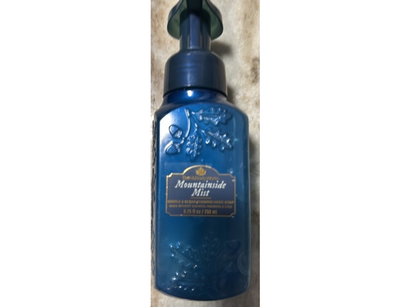 Bath & Body Works Gentle & Clean Foaming Hand Soap, Mountainside Mist, 8.75 fl oz/259 mL