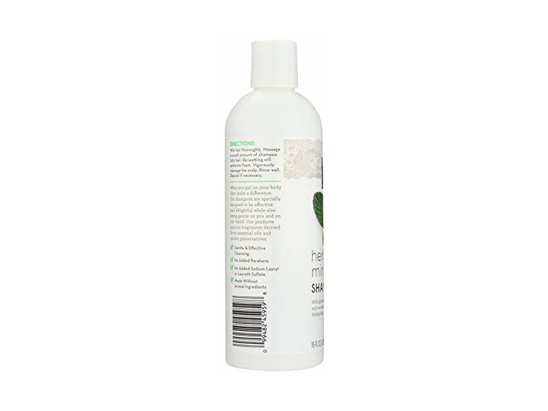 365 Everyday Value, Herbal Mint Shampoo, 16 fl oz