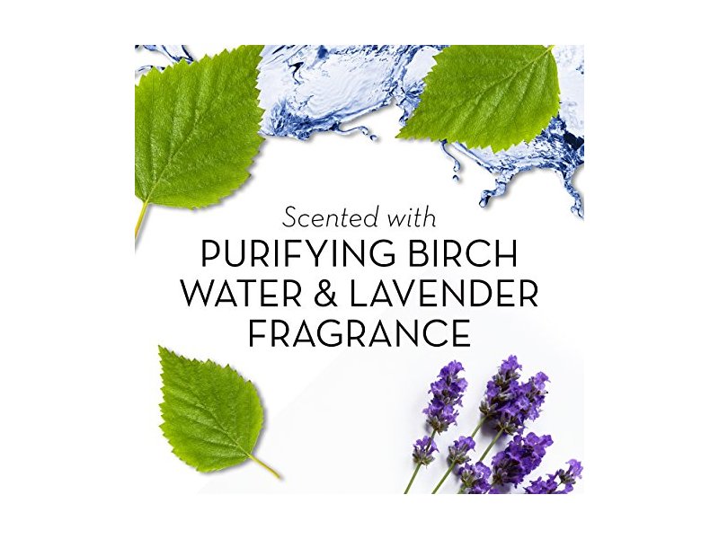 Olay Fresh Outlast Purifying Birch Water & Lavender Body Wash 13.5 Oz, 0.89 Pound