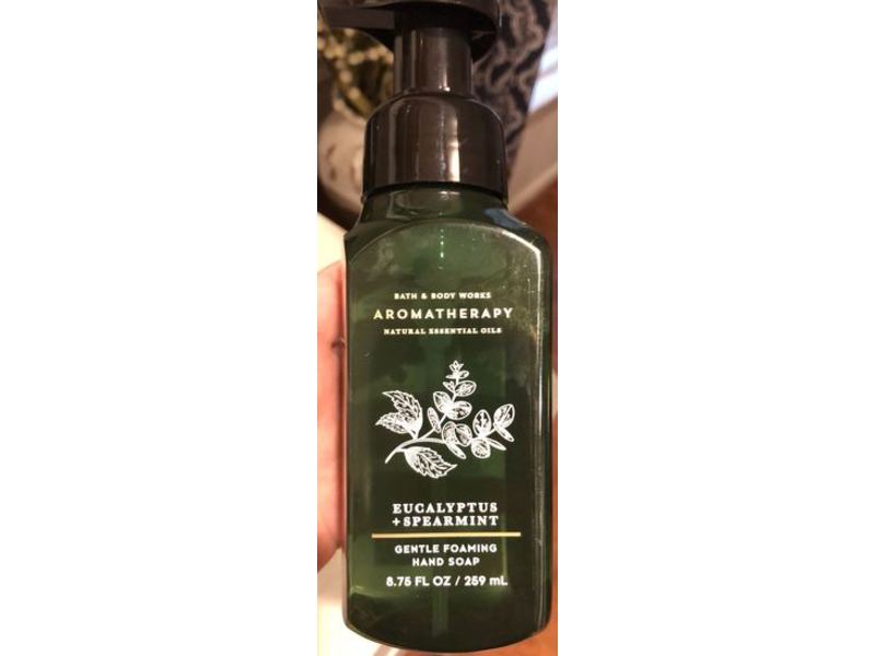 Bath & Body Works Aromatherapy Gentle Foaming Hand Soap, Eucalyptus + Spearmint, 8.75 fl oz/259 mL, Pack Of 2