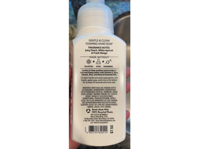 Bath & Body Works Gentle & Clean Foaming Hand Soap, Peach Bellini, 8.75 fl oz/259 mL