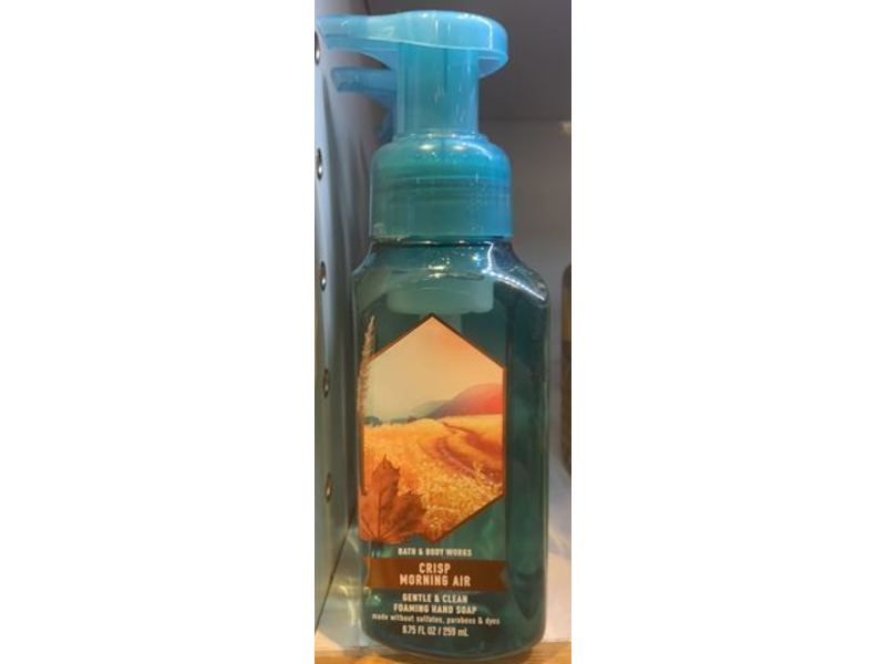 Bath & Body Works Crisp Morning Air Gentle & Clean Foaming Hand Soap, 8.75 fl oz/259 mL