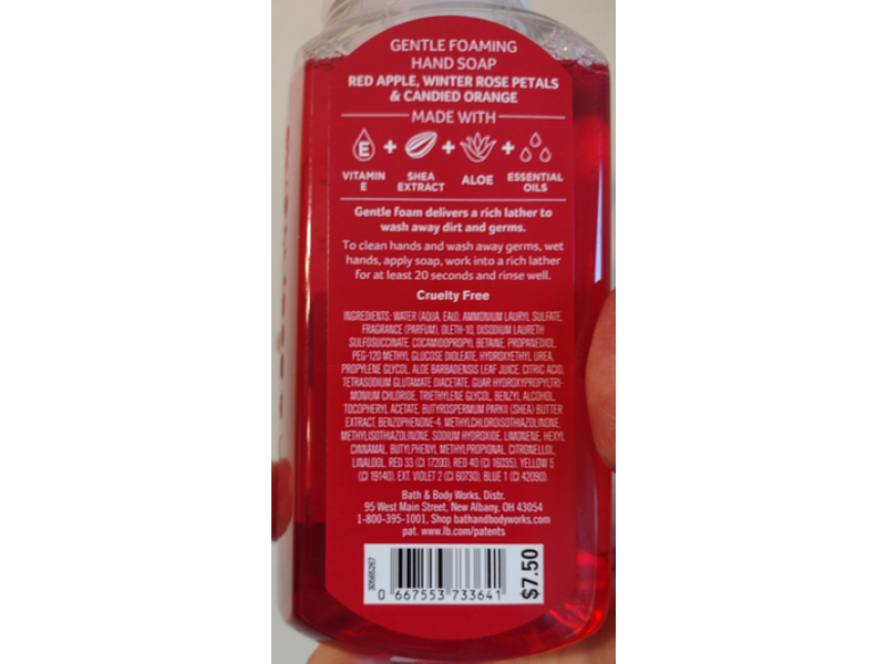 Bath & Body Works Gentle Foaming Hand Soap, Winter Candy Apple, 8.75 fl oz/259 mL