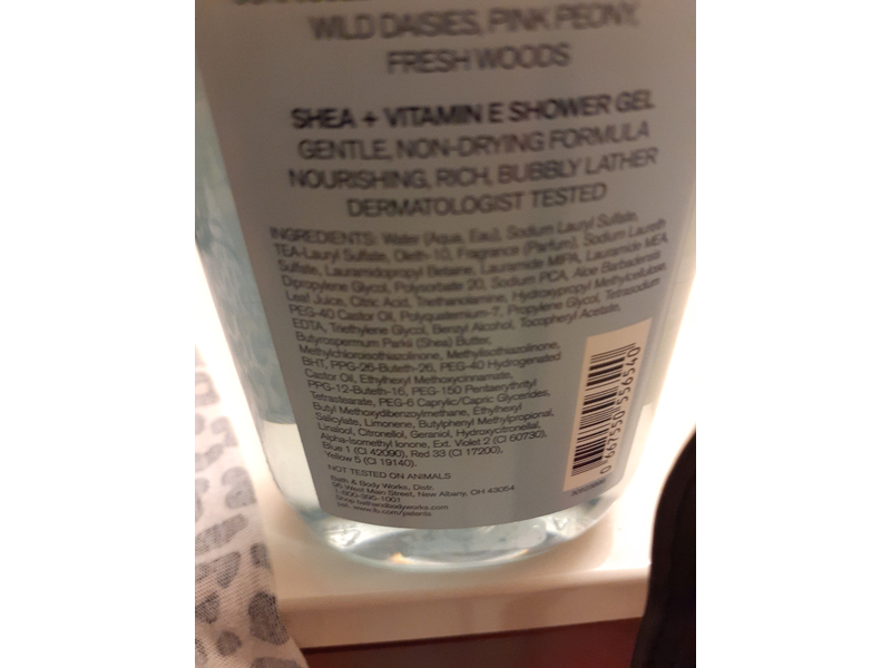 Bath & Body Works Beautiful Day Shower Gel, Shea + Vitamin E, 10 fl oz/295 mL