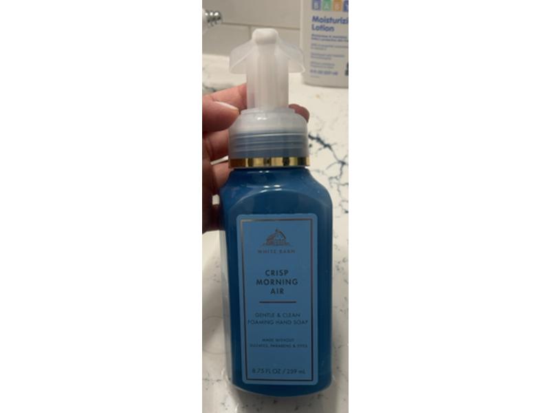 Bath & Body Works White Barn Gentle & Clean Foaming Hand Soap, Crisp Morning Air, 8.75 fl oz/259 mL