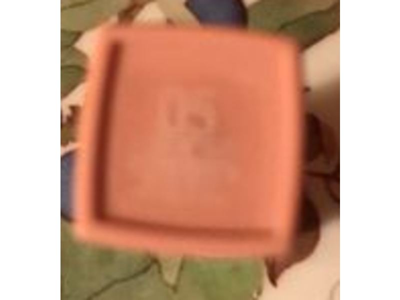 Maybelline New York Super Stay Matte Ink Liquid Lipstick, 05 Loyalist, 0.17 fl oz/6 mL