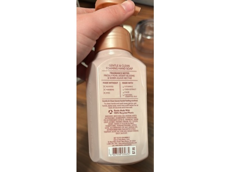 Bath & Body Works Gentle & Clean Foaming Hand Soap, Wild Sand, 8.75 fl oz/259 mL