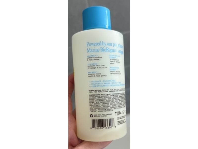 ebb ocean club Instant Slip + Shine Shampoo, 10 fl oz/295 mL