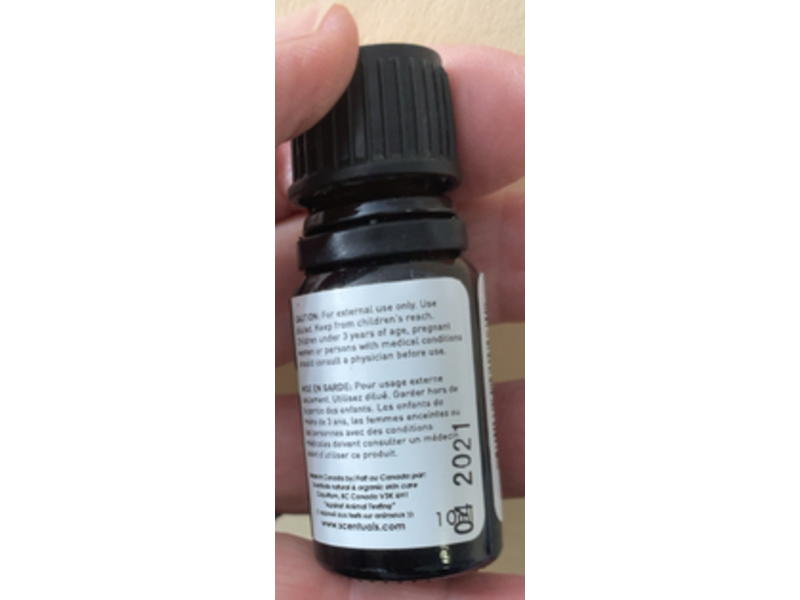 Scentuals Pure Essential Oil, Melaleuca Alternifolia Tea Tree, 0.34 fl oz/10 mL