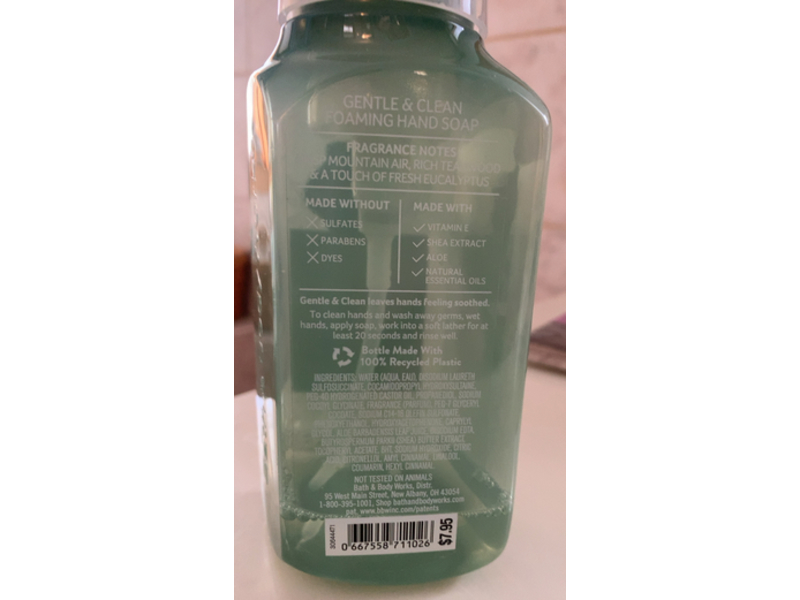 Bath & Body Works Gentle & Clean Foaming Hand Soap, Mountain Teakwood, 8.75 fl oz/259 mL