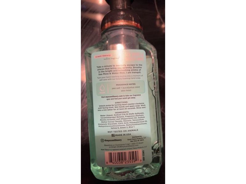 Scent Theory Foaming Hand Soap, Sea Moss & Water Mint, 11 fl oz/125 mL