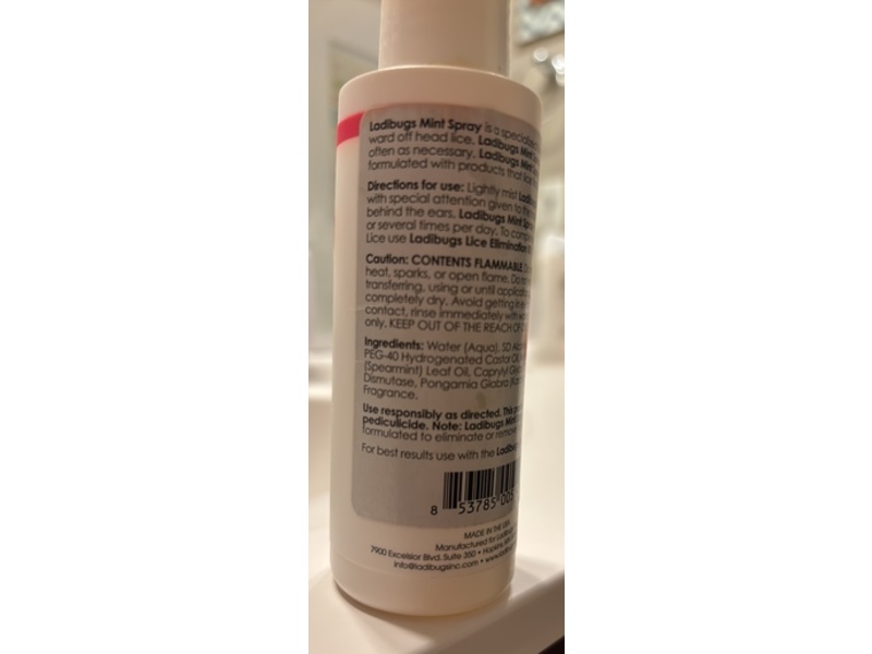 Lady Bugs Hair Care Mint Spray, 4 fl oz/119 mL