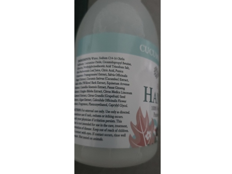 Ginger Lily Farms Botanicals Foaming Hand Soap, Cucumber Mint Bliss, 20 fl oz/591 mL