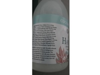 Ginger Lily Farms Botanicals Foaming Hand Soap, Cucumber Mint Bliss, 20 fl oz/591 mL - thumbnail 4