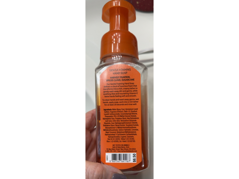 Bath & Body Works Gentle Foaming Hand Soap, Sweet Cinnamon Pumpkin, 359 mL