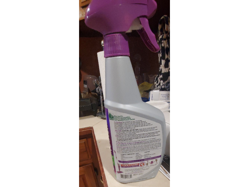 Rejuvenate No Scrub Tile & Grout Everyday Cleaner, 32 oz/947 mL