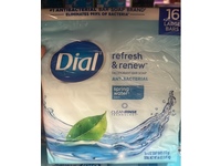 Dial Refresh & Renew Antibacterial Deodorant Bar Soap, Spring Water, 4 oz/113 g, Pack Of 16 - thumbnail 2