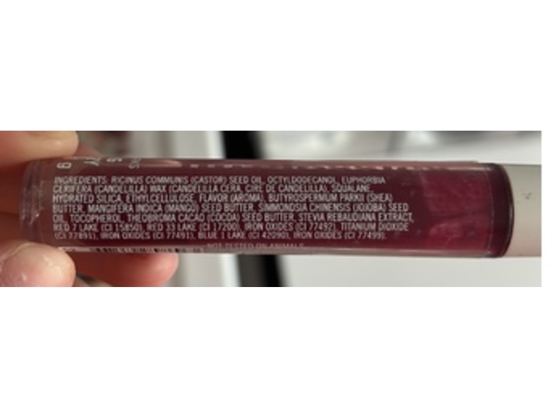 Bath & Body Works Lip Gloss, Charming Cranberry, 0.11 oz/3.1 g