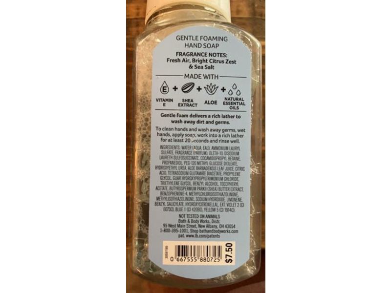 Bath & Body Works Gentle Foaming Hand Soap, Brilliant Blue Sky, 8.75 fl oz/259 mL