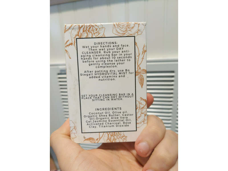 Bo Stegall Day Facial Cleanser