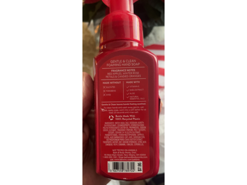 Bath & Body Works Gentle & Clean Foaming Hand Soap, Winter Candy Apple, 8.75 fl oz/259 mL