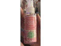 Harry Slatkin Scent Worx Body Mist, Winter Sugared Apple, 3 fl oz/88 mL - thumbnail 1