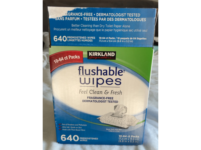 Kirkland Signature Flushable Wipes, 640 Count