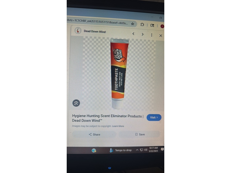 Dead Down Wind Toothpaste, Fresh Mint, 100 g