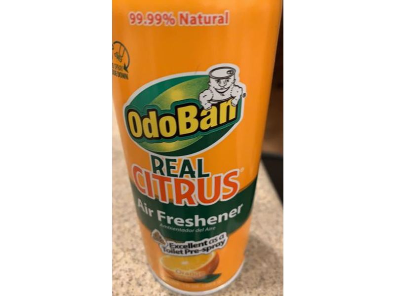 Odoban Real Citrus Air Freshener, Orange, 10 oz/283 g