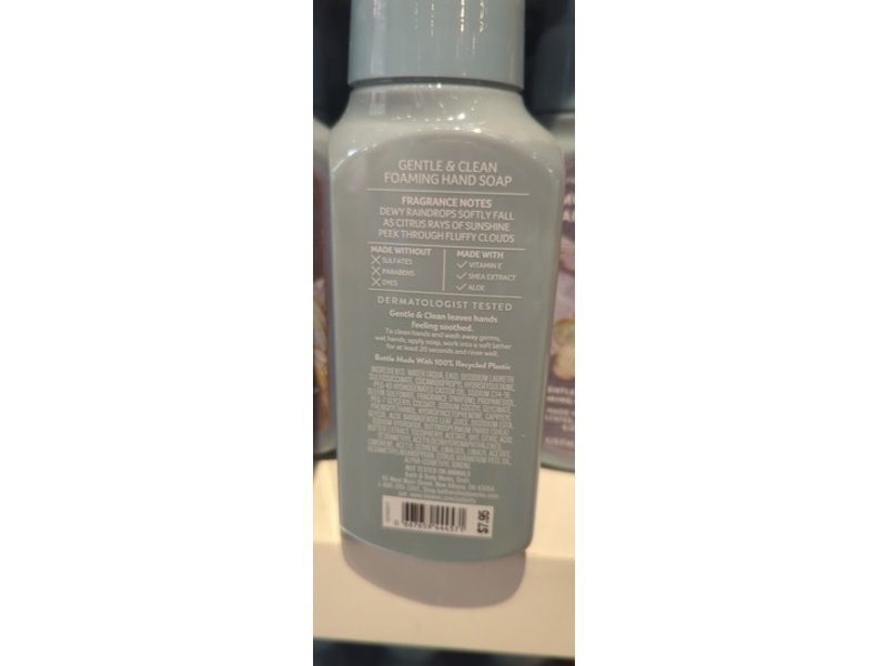 Bath & Body Works Gentle & Clean Foaming Hand Soap, Morning Rainstrom, 8.75 fl ioz/259 mL