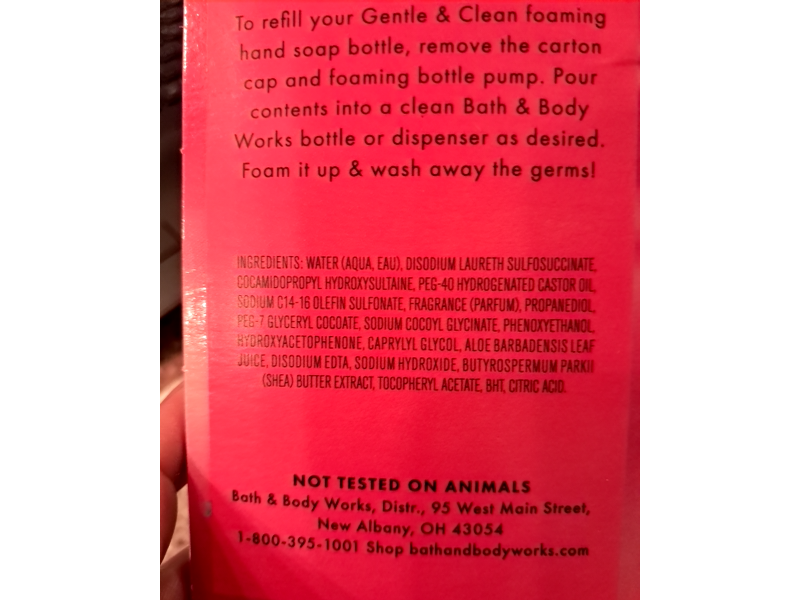 Bath & Body Works Gentle & Clean Foaming Hand Soap Refill, Twisted Peppermint, 32 fl oz/946 mL