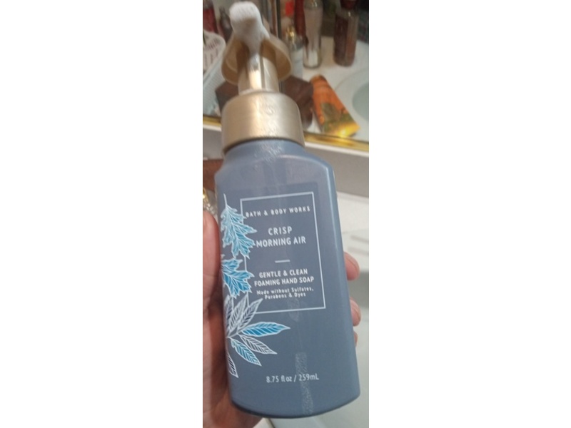 Bath & Body Works Gentle & Clean Foaming Hand Soap, Crisp Morning Air, 8.75 fl oz/259mL