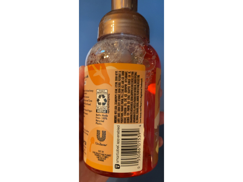 Beloved Foaming Hand Wash, Pumpkin & Chai Latte, 8 fl oz