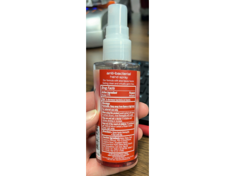 Bath & Body Works Anti-Bacterial Hand Spray, Afternoon Apple Picking, 3 fl oz/88 mL