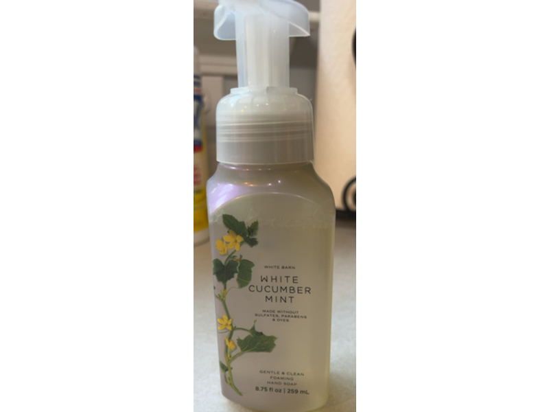 Bath & Body Works Gentle Foaming Hand Soap, White Cucumber Mint, 8.75 fl oz/259 mL