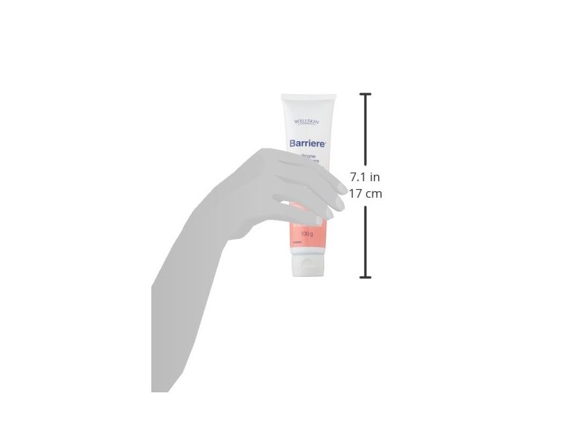 Skin Protector Wellskin Barriere Silicone Skin Cream 100g Ingredients and Reviews