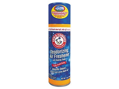 Arm & Hammer Deodorizing Air Freshener, Light Fresh Scent, 7 oz/198 g