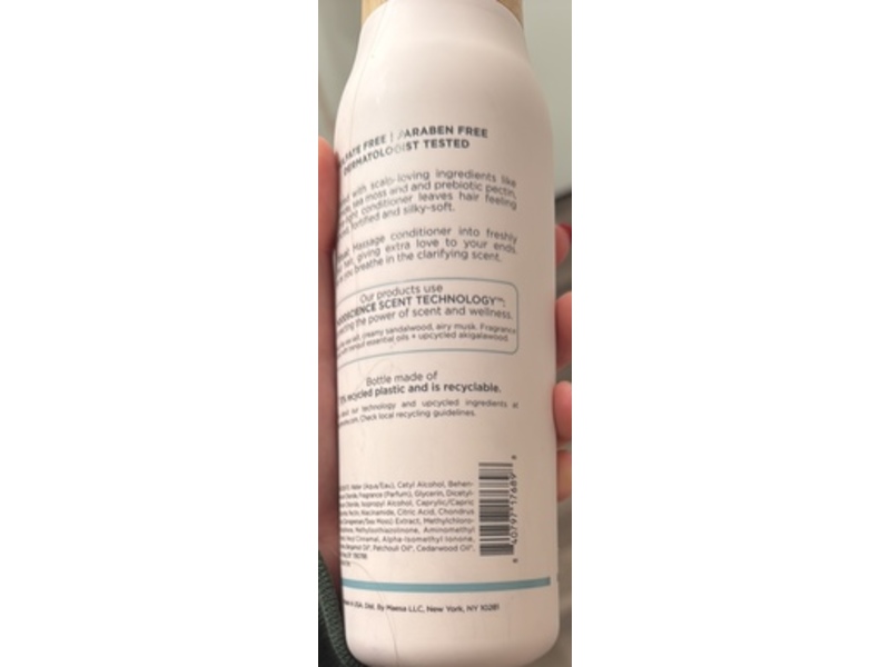 Being Frenshe Hair Wellness Replenishing Conditioner, Serenity & Clarity / Salty, 16 fl oz/473 mL