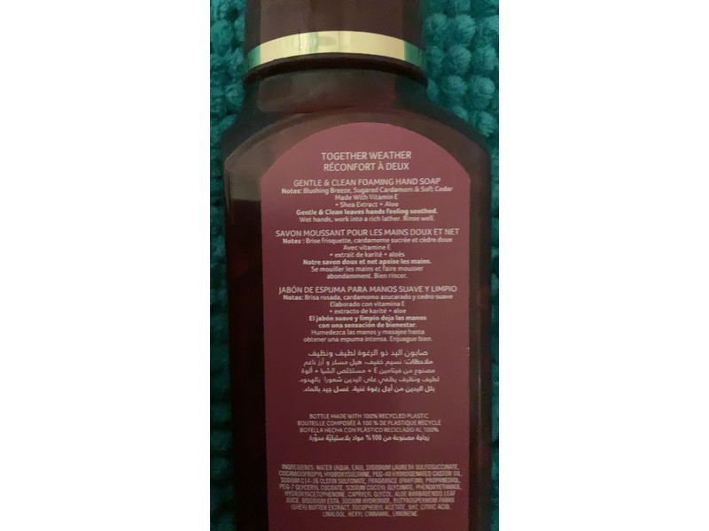 Bath & Body Works Gentle & Clean Foaming Hand Soap, Together & Weather, 8.75 fl oz/259 mL
