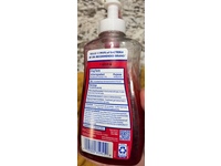 Dial Antibacterial Hand Soap, Frosted Cranberry & Pine, 11 fl oz/325 mL - Image 5