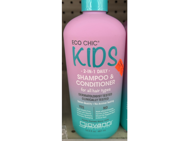 Giovanni Eco Chic Kids 2 In 1 Daily Shampoo & Conditioner, 16.5 fl oz/487 mL