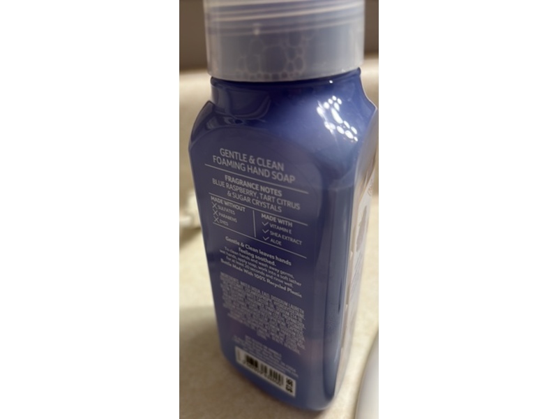 Bath & Body Works Gentle & Clean Foaming Hand Soap, Blue Raspberry, 8.75 fl oz/259 mL