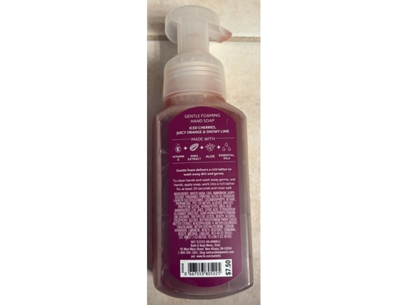 Bath & Body Works Gentle Foaming Hand Soap, Winter Berry Ice, 8.75 fl oz/259 mL