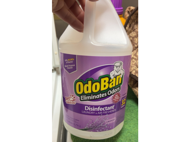 Odoban Laundry & Air Freshener Disinfectant Multi - Purpose Cleaner, Lavender, 3.79 L, Pack Of 4