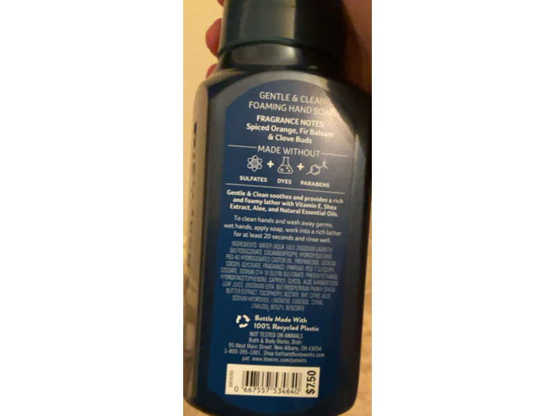 Bath & Body Works Winter Foaming Hand Soap, Gentle & Clean, 8.75 fl oz/259 mL