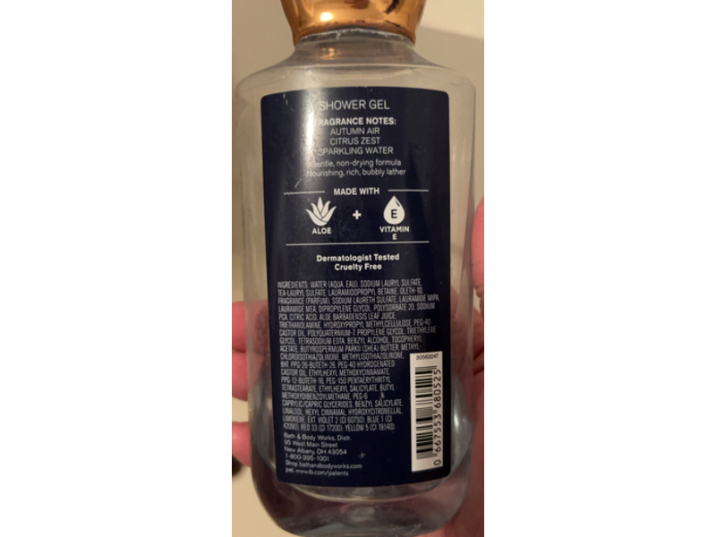 Bath & Body Works Shower Gel, Lakeside Citrus, Aloe + Vitamin E, 10 fl oz/295 mL