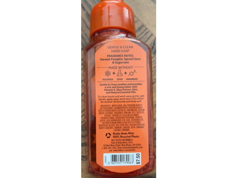 Bath & Body Works Foaming Hand Soap, Sweet Cinnamon Pumpkin, 8.75 fl oz/259 mL