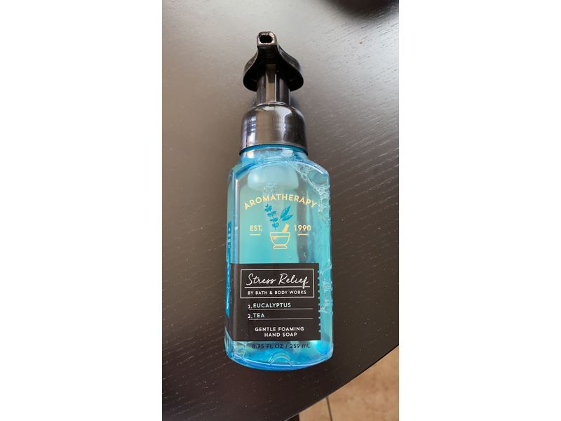 Bath And Body Works Gentle Foaming Hand Soap, Eucalyptus And Tea, 8.75 fl oz/259 mL