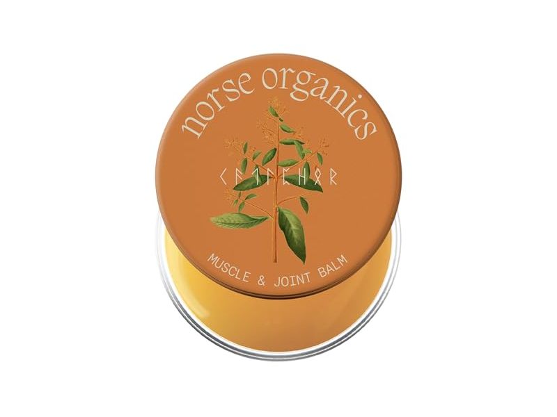 Norse Organics Muscle & Joint Builder Balm, Arnica Sea Buckthorn Peppermint, 1.0 fl oz/30 mL